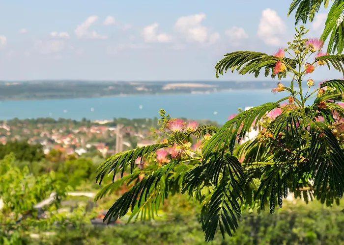 Maison d'hôtes Azur 3*
